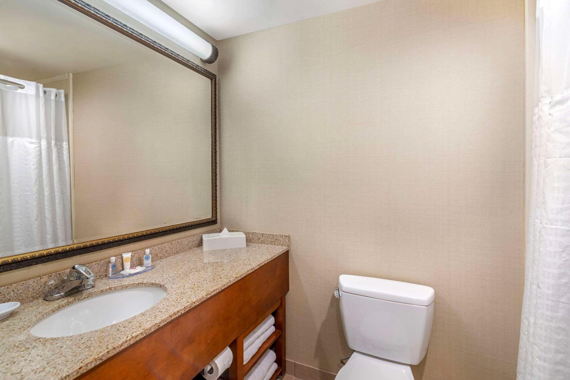 Comfort Inn & Suites Dover-Portsmouth Dış mekan fotoğraf